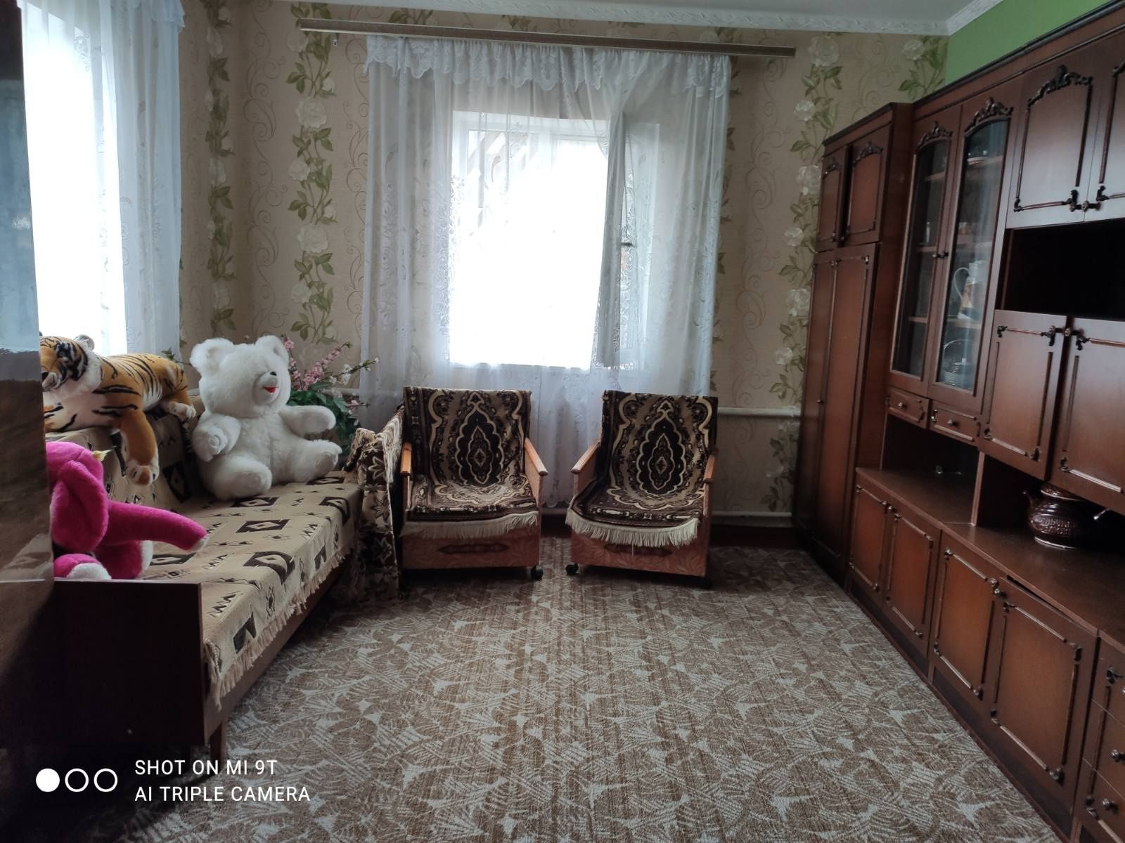 Продам власний будинок в с. Озерна (без ріелторів та комісії)