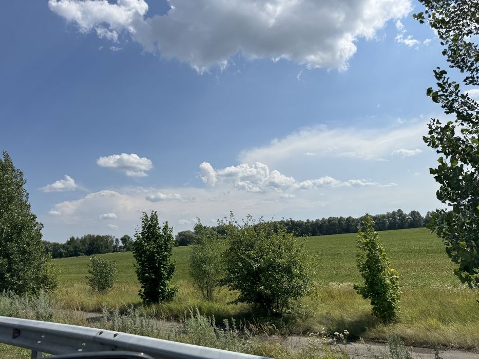 Земельна ділянка.Фасад ! 8га! с.Микуличі