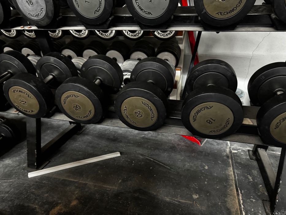 Halteres de ginásio Technogym profissionais