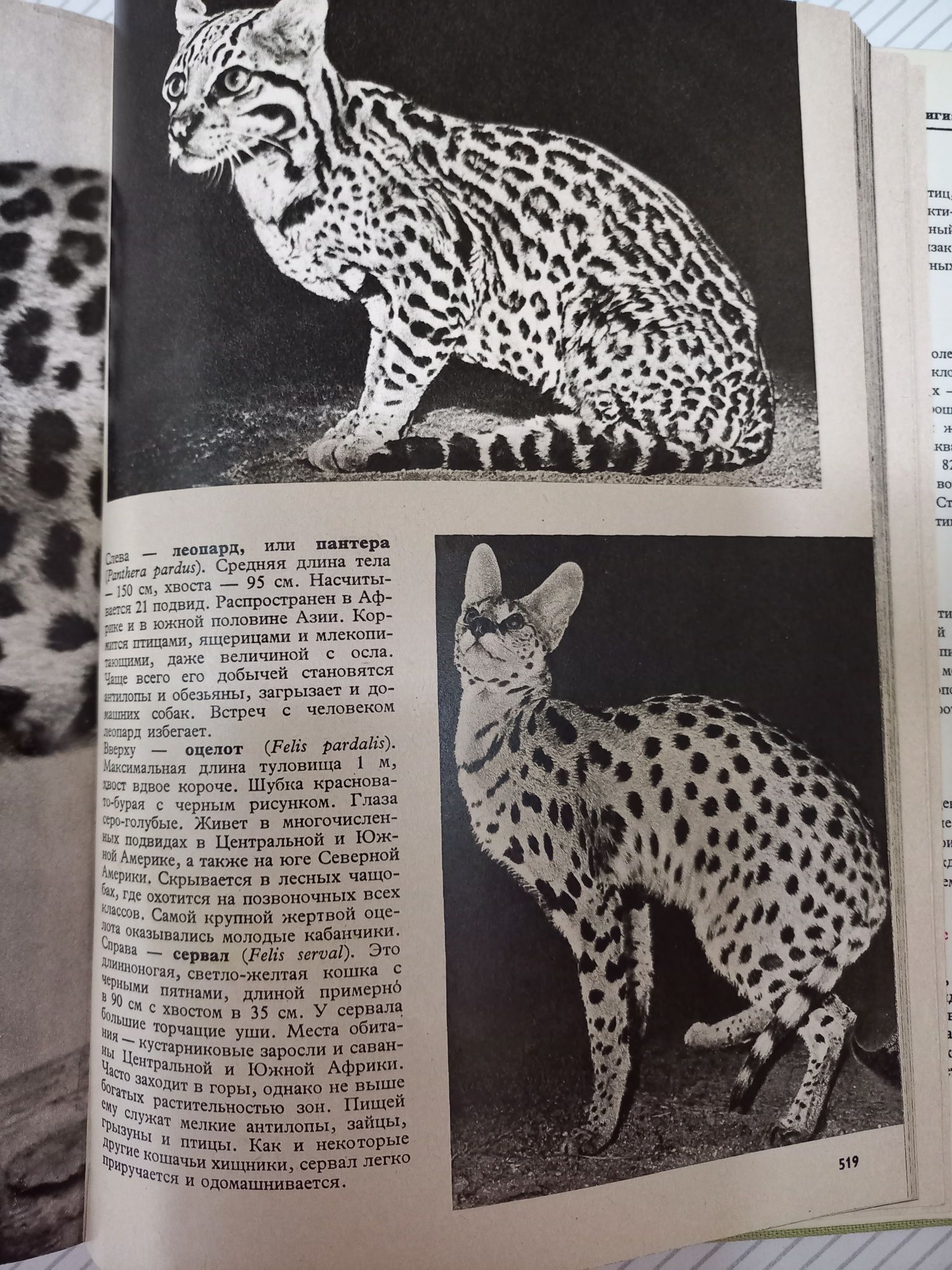 Иллюстрированная энциклопедия животных. АРТИЯ, Прага 1986г.