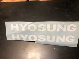 Літрери логотипу Hyosung на бак.