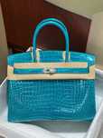 Hermes Birkin 30 Porosus Croco