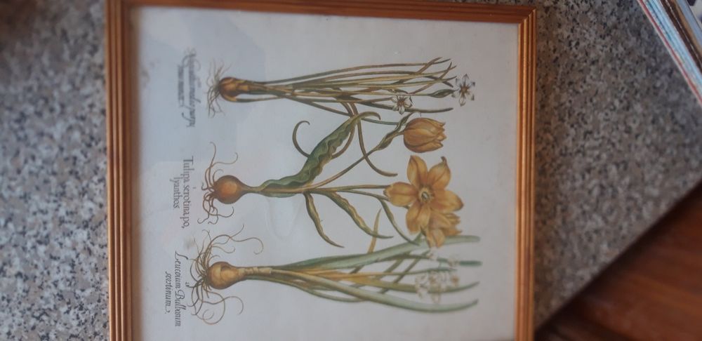 Quadro Antigo Decorativo