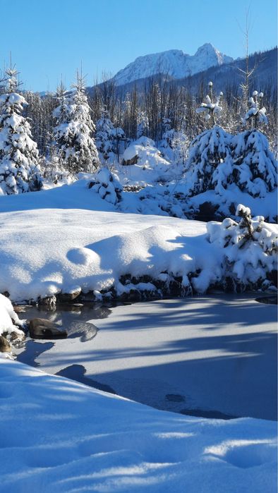 Domek w Zakopanem z GORACA BALIA, 8 osób