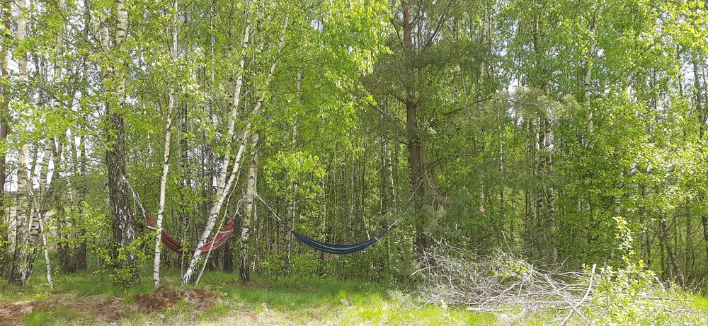 Domek Emilka kaszubska ostoja nad stawem