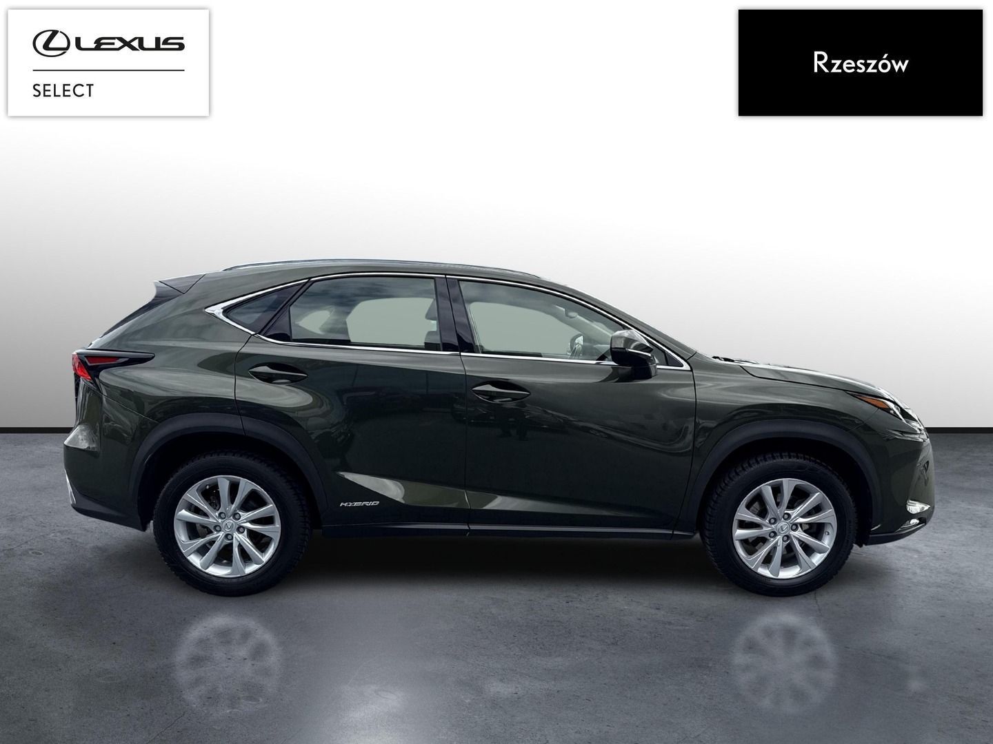Lexus NX NX300h Business Edition | Piękna zieleń | FVAT 23%