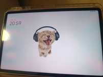 Планшет Xiaomi pad 6 8/256