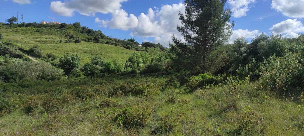 Terreno rústico em Cardosas - Arruda dos Vinhos
