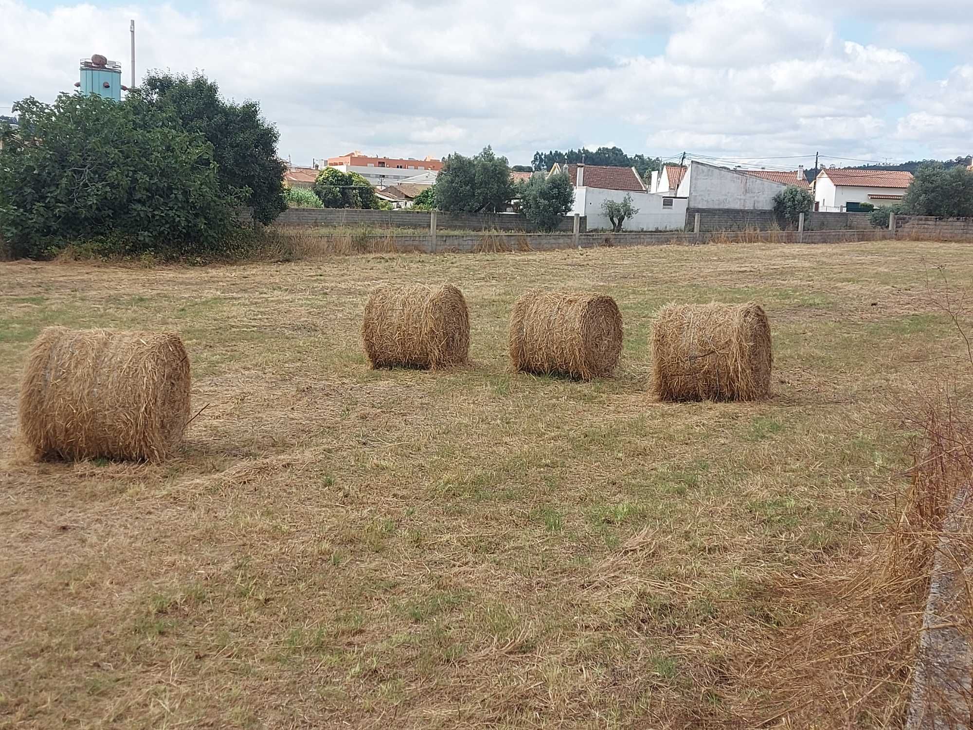 Palha  fardo em rolo