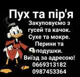 Пір'я та пух. Перини та подушки.