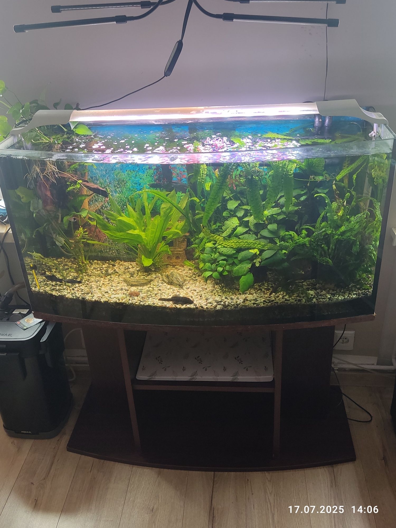 Sprzedam 2 Filtry zewnętrzne AQUAEL Unimax 250 Pojemność akwarium - od