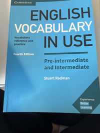 English vocabulary in use pre-intermediate and intermediate