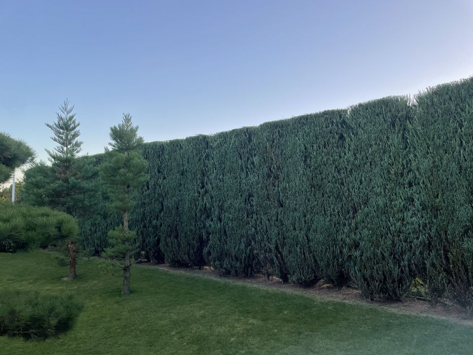 WKOŁO DOMU- mycie kostki,elewacji,ogrodnik,malowanie wnętrz,sprzatanie