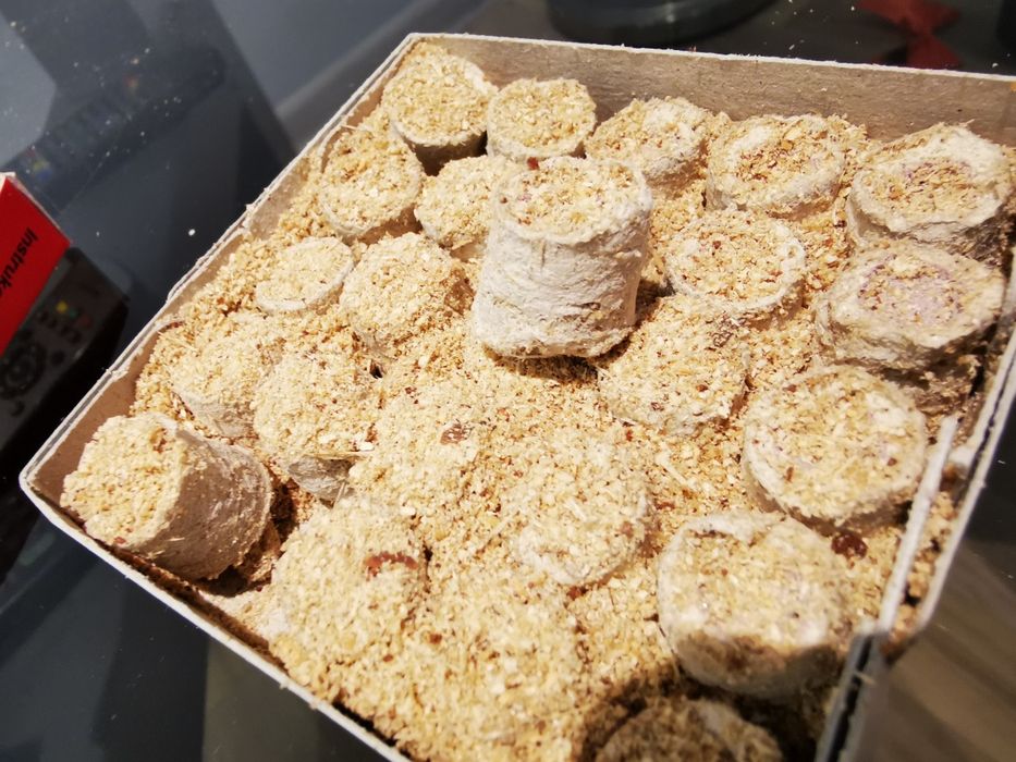 Korki do korkowca PRL