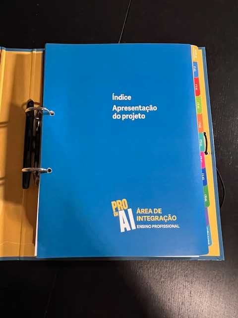 Conj. Pedag. - A. Integração - Profissional - "Pro em AI (ano 3)"