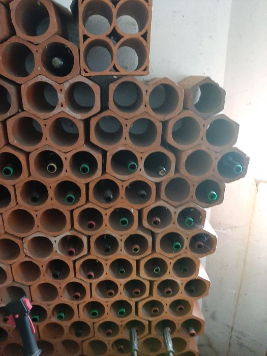 Garrafeira com mais de 100 peças duplas