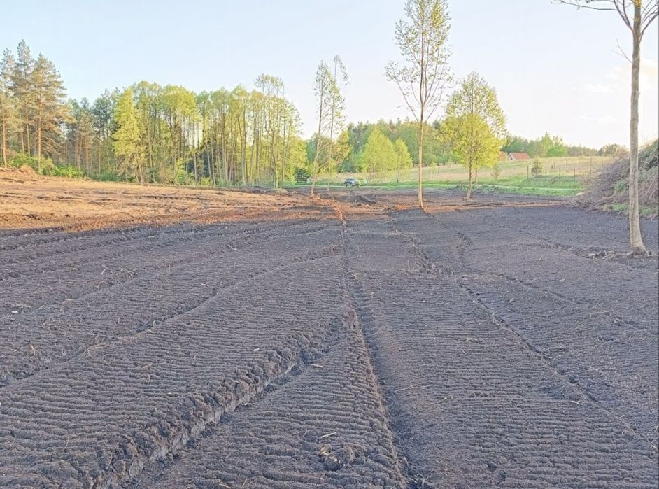 MulczerLeśnyWgłębnyWycinkaDrzewSamosiewówPraceZiemneUsługiKoparką