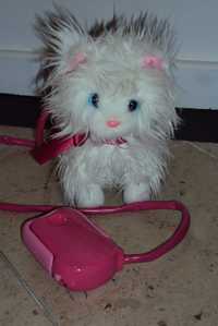 Peluche Cassy goes Catwalk