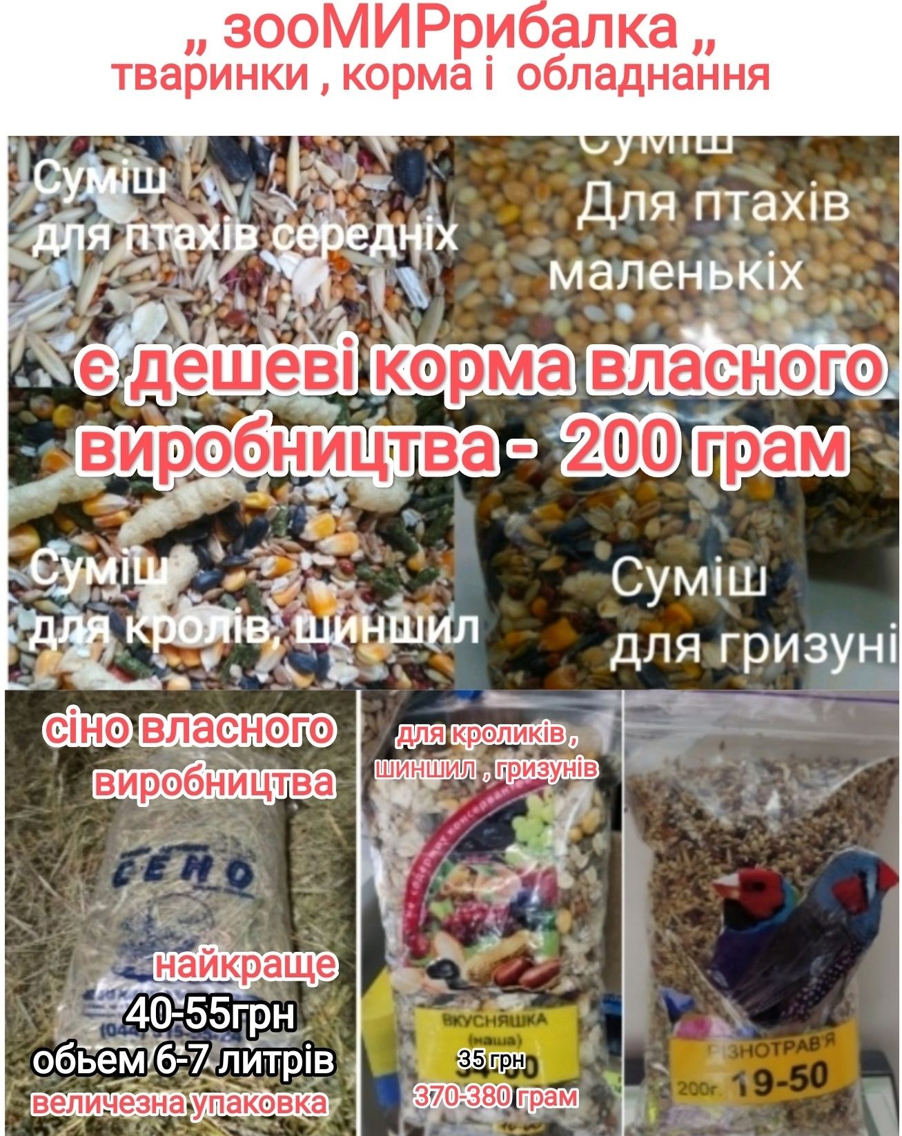 Волнистый попугай птенец из гнездышка, клетки