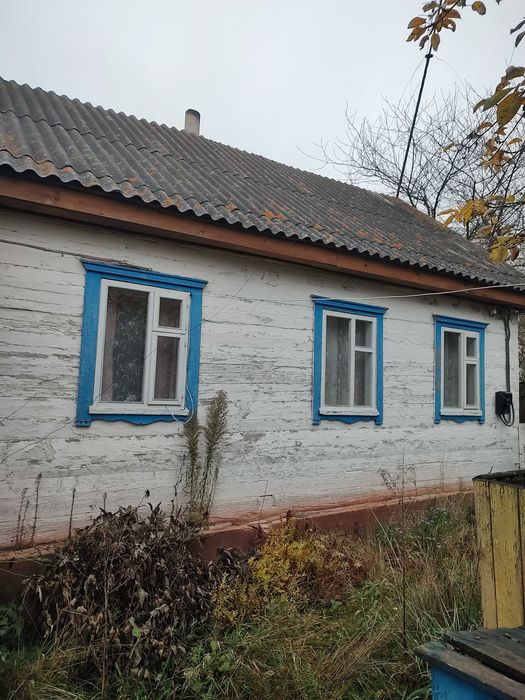 Будинок в селі Волошине, Коростенського району