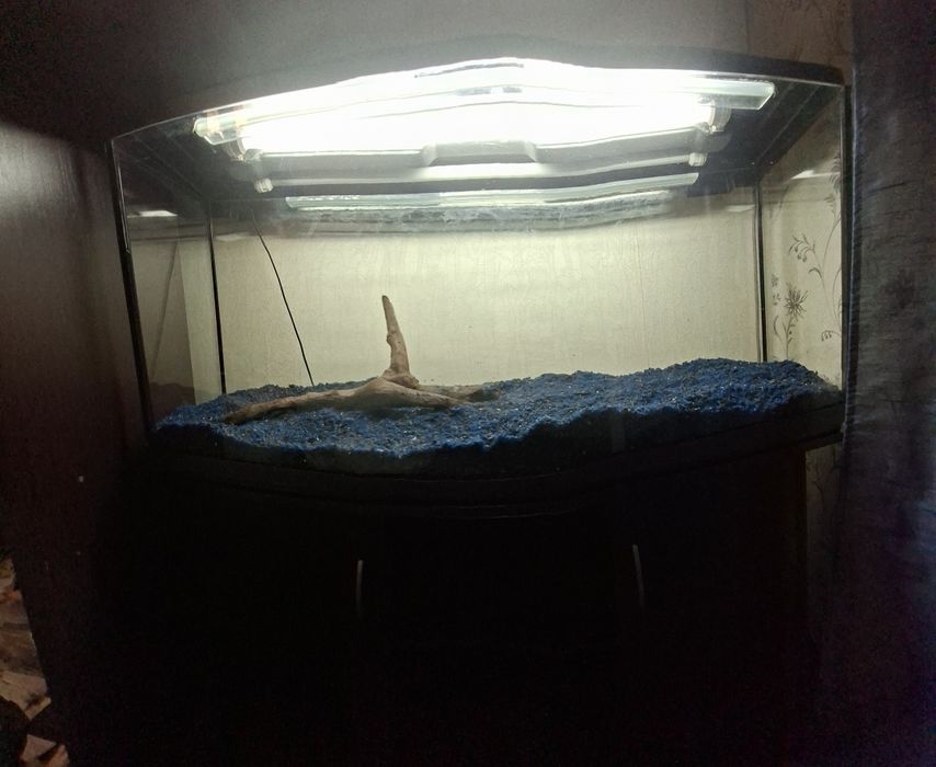 Овальний Акваріум