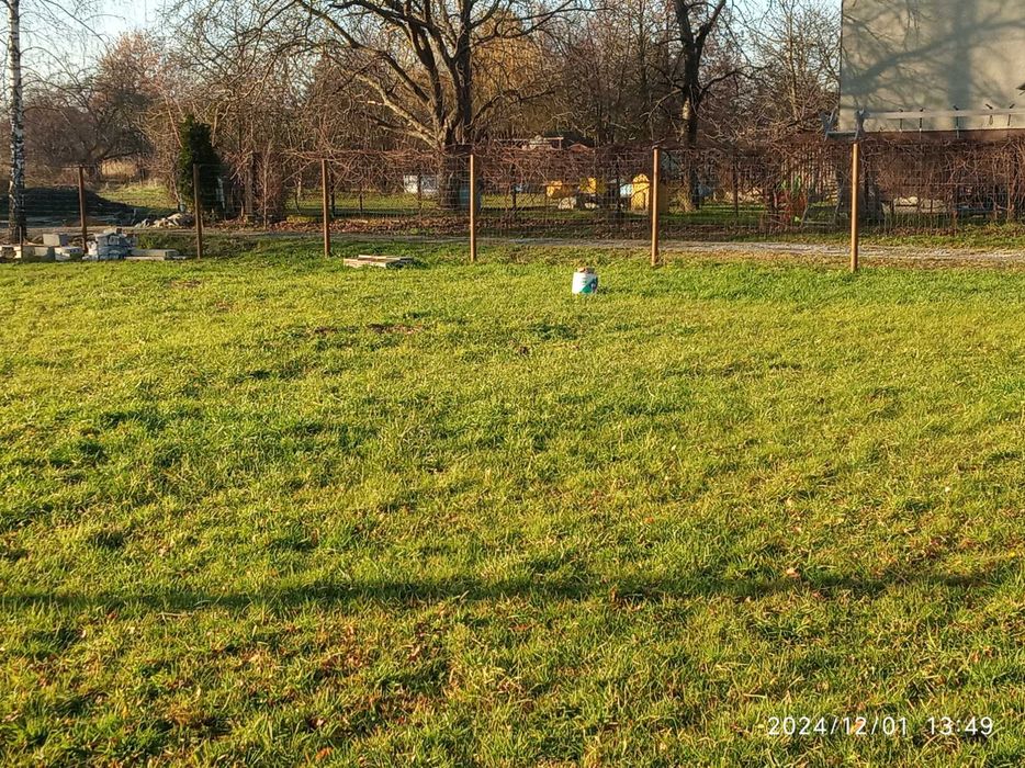 Oddam za darmo plac pod wysyp ziemi