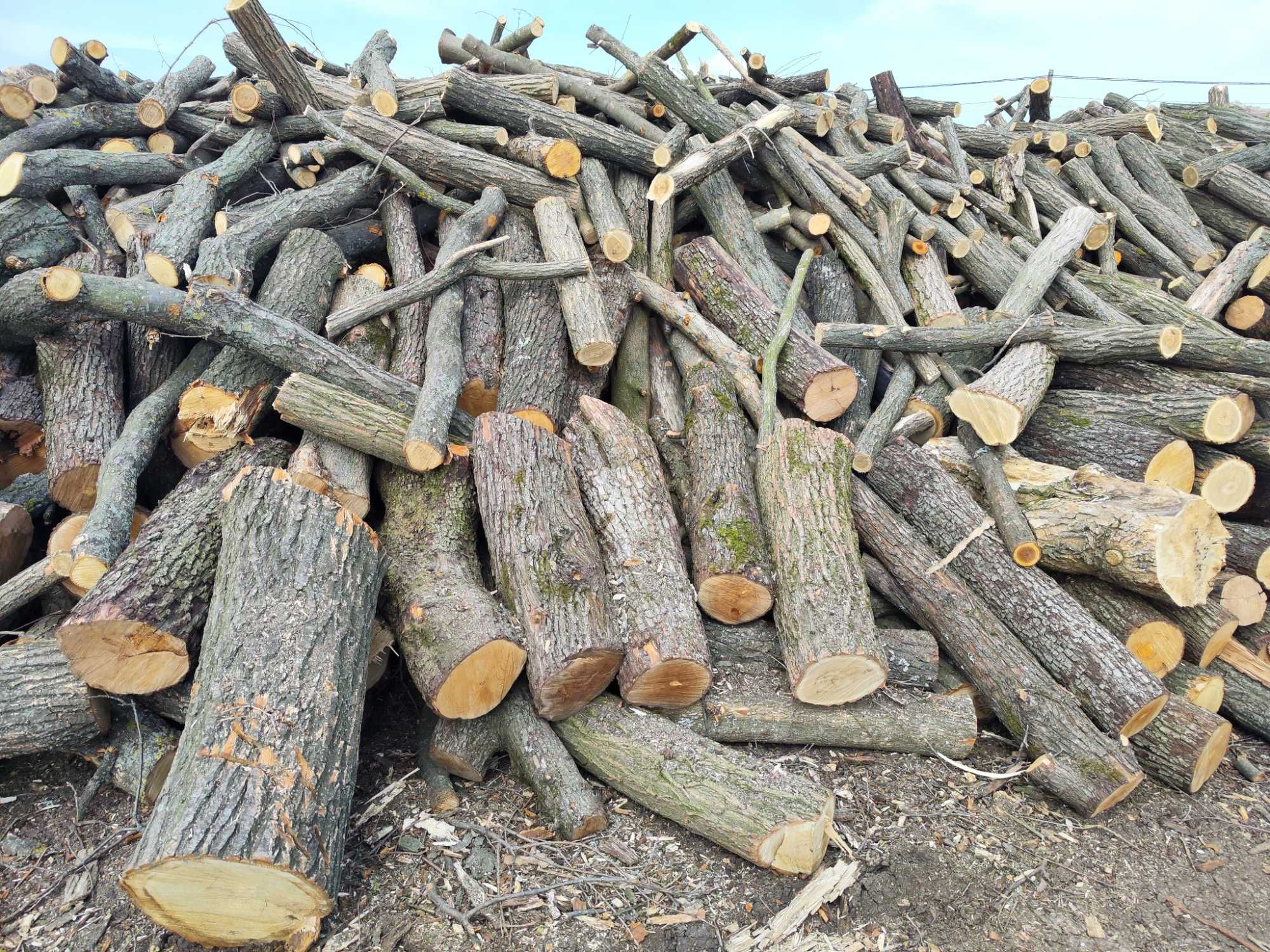 Качественные дрова с доставкой в Одессе и области