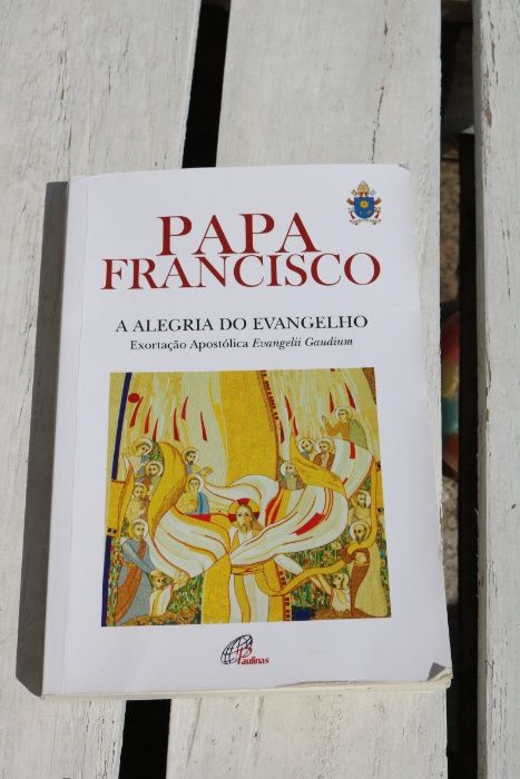 Papa Francisco - A Alegria do Evangelho