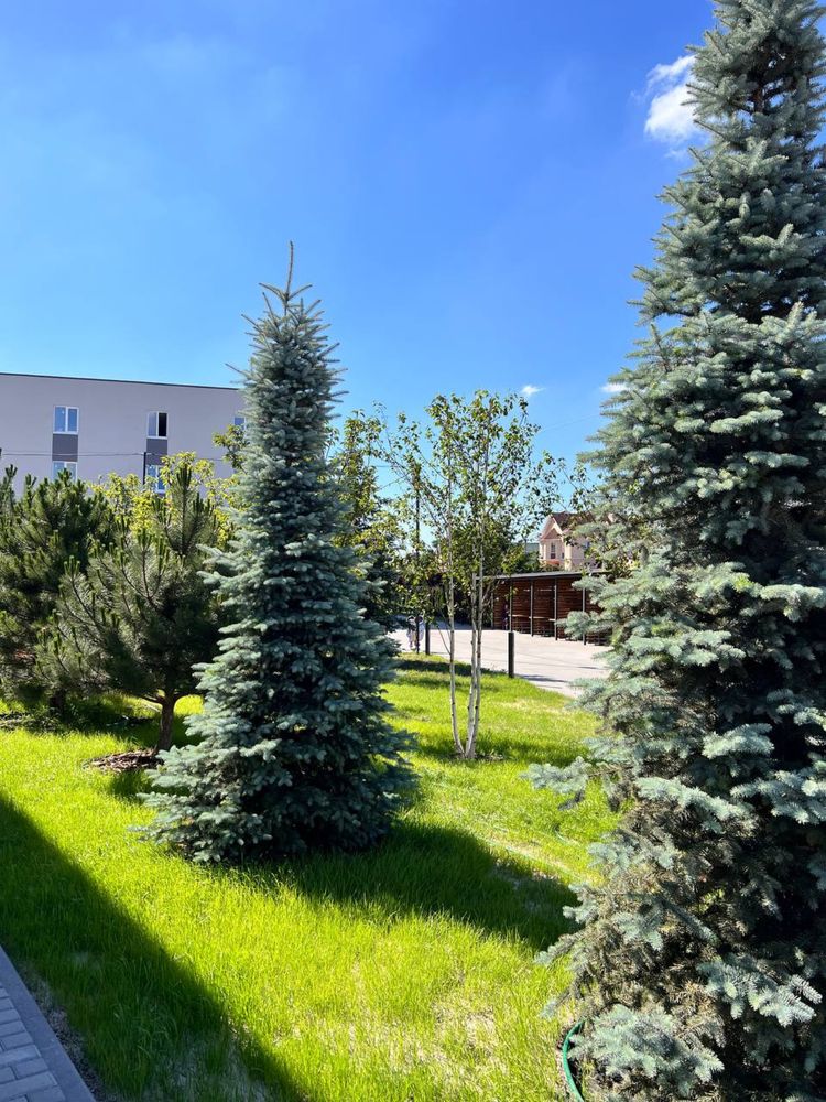 37,2м2 Євродвушка за Акційною ціною‼️ ГАЗ / червона цегла / + КЛАДОВКА