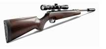 Remington Express XP .22