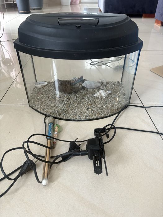 Akwarium 20 litrów , zestaw