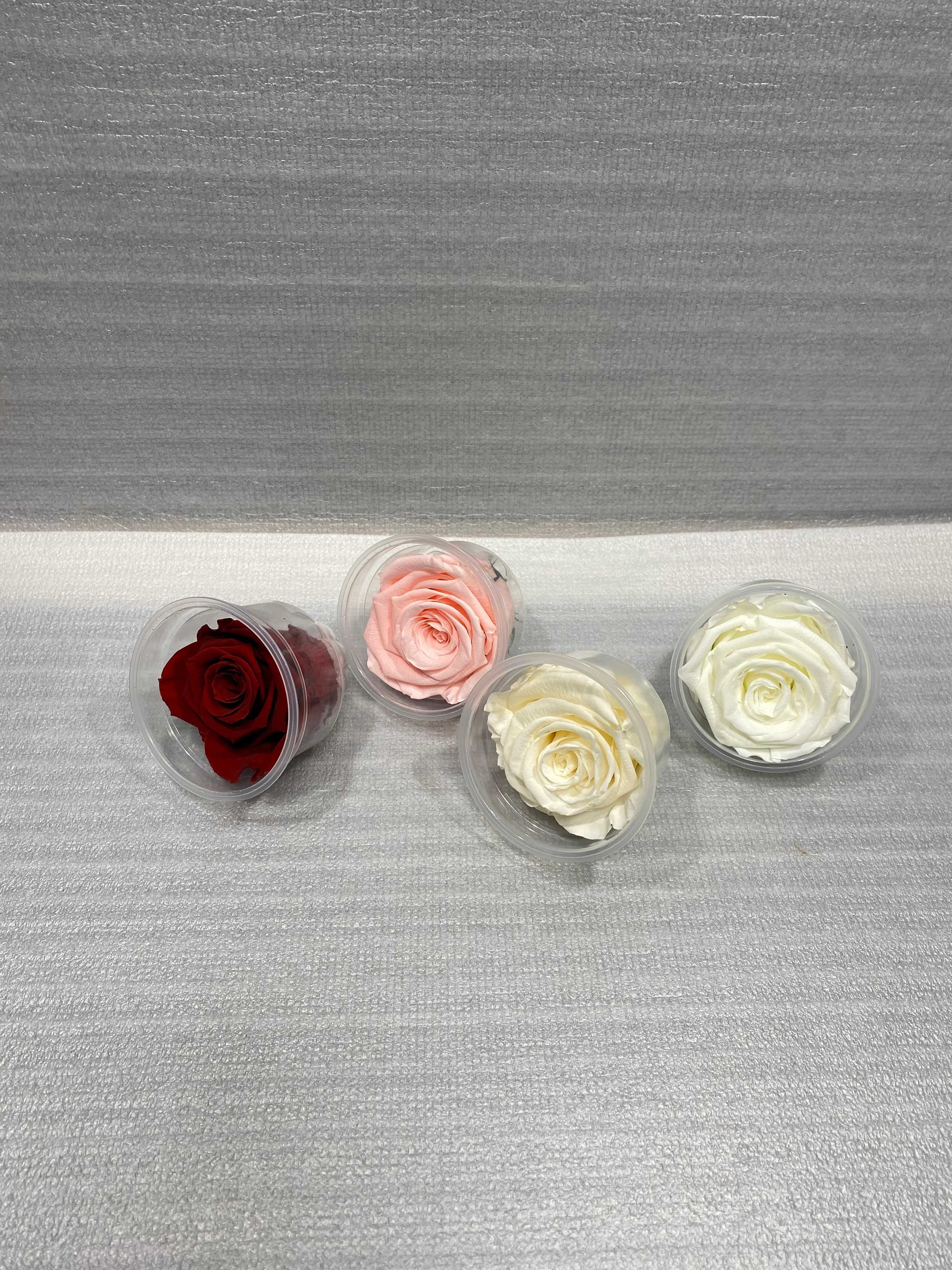 Stabilizowane główki róż  wieczna róża