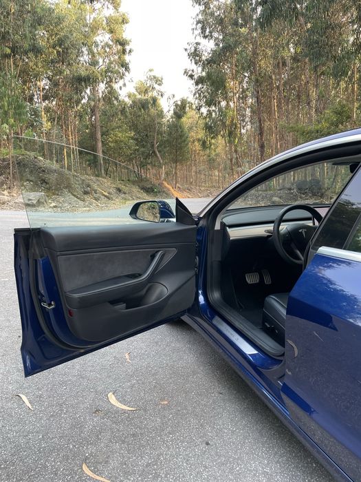 Tesla Model 3 Performance (Full extras)