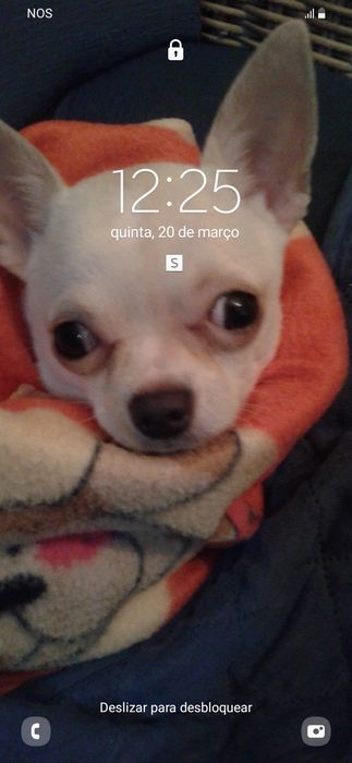 Ola sou o ted e procuro  namorada