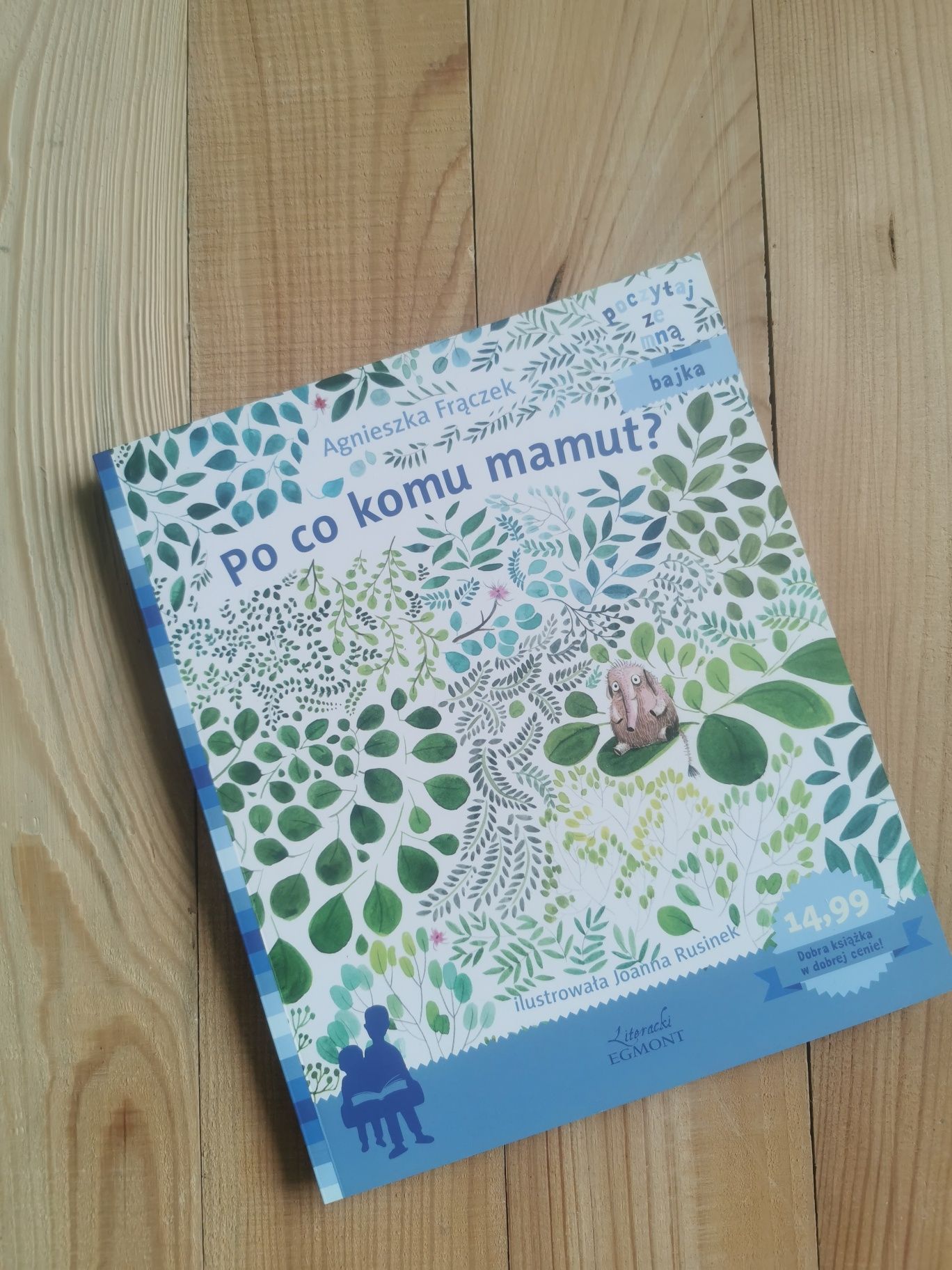 Książka „Po co komu Mamut" Agnieszka Frączek