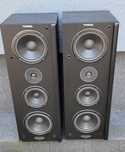 UNITRA Tonsil Voyager 200 po regeneracji (altus mildton)