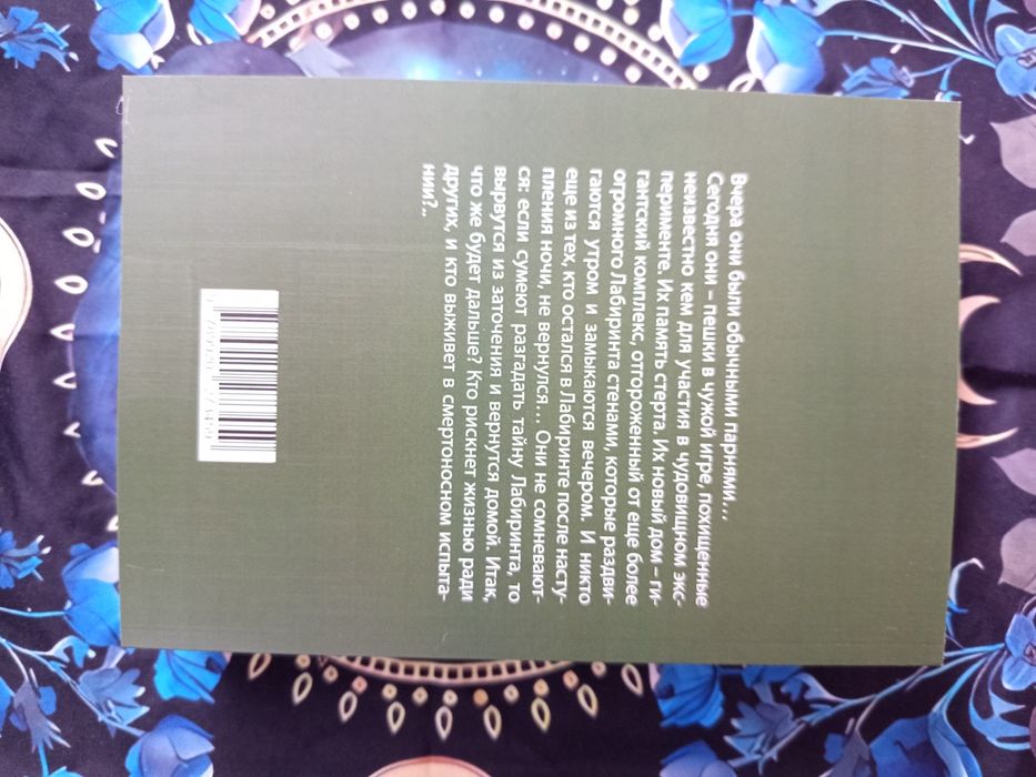 Бегущий в лабиринте