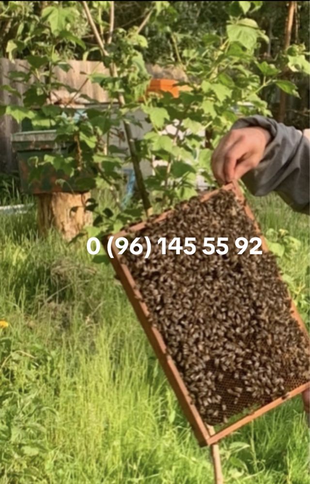 Продам Відводи бджіл