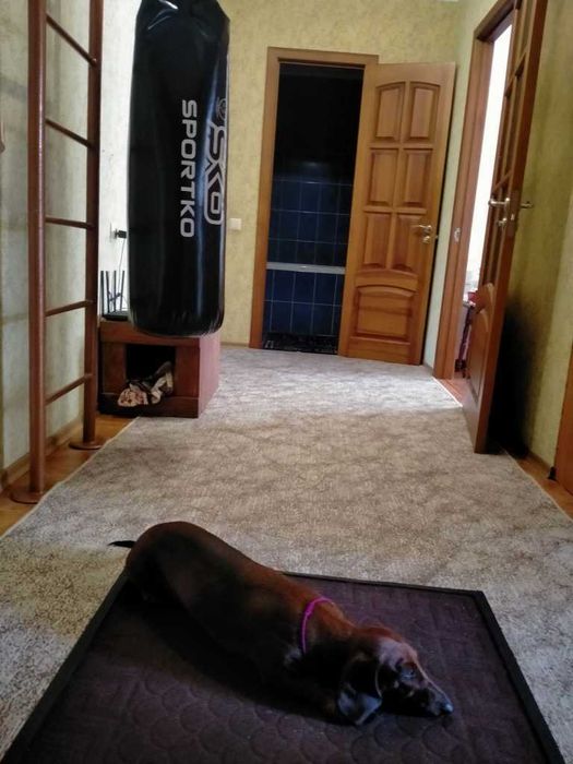 2к!квартира в новобудові на Леваді, 5/10 поверх, 60 м2, теплолічильник