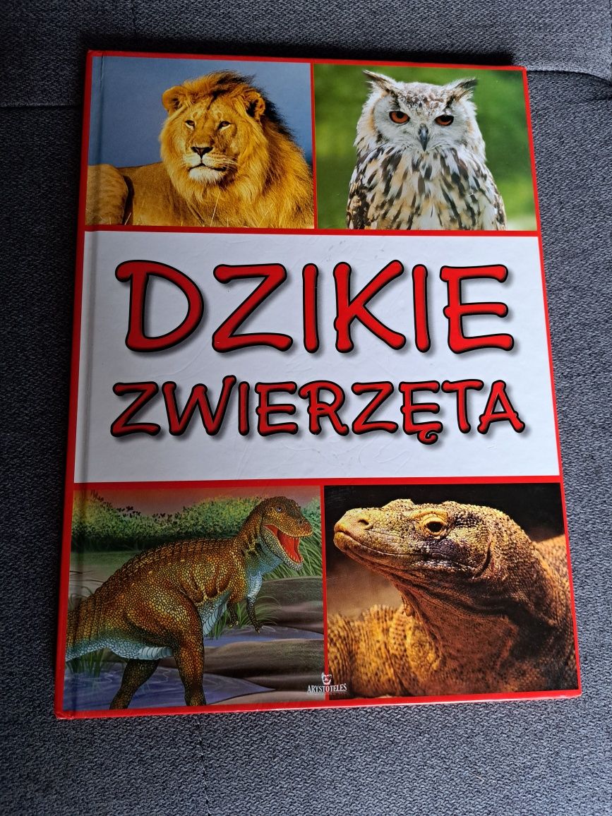 Książka dla dzieci Dzikie zwierzęta