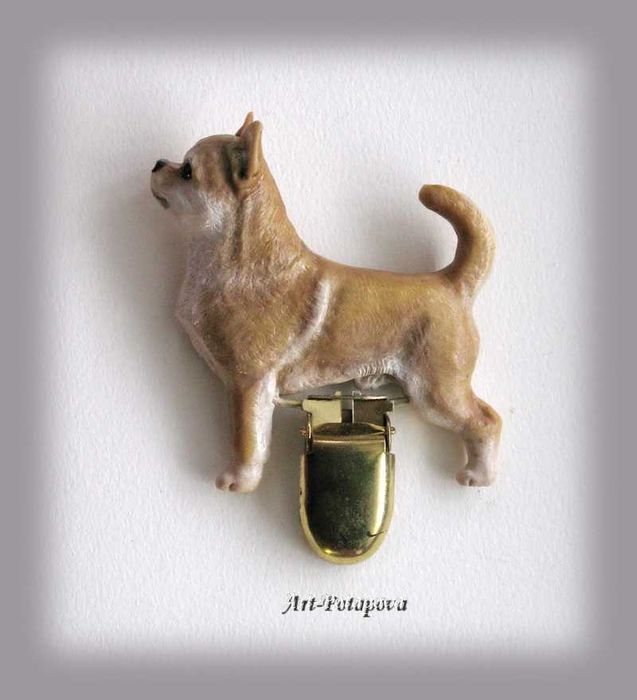 Чіхуа, Аффен пінчер, Бігль, Лабрадор, Голден, Ауссі