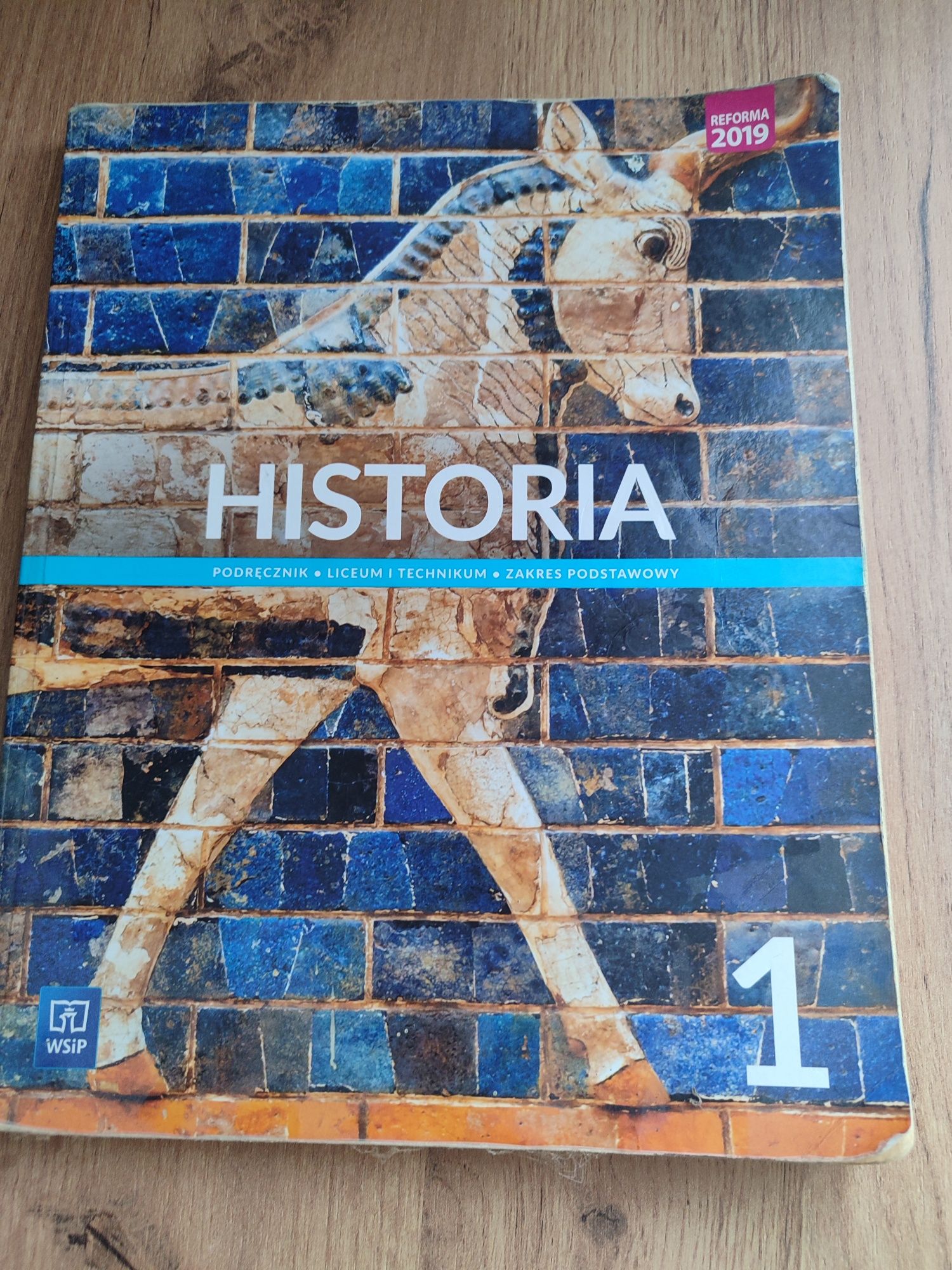 Historia podręcznik do liceów i techników WSiP