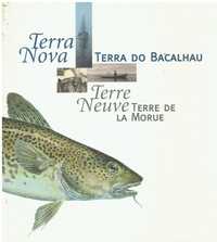 10552 Livros Sobre Pesca