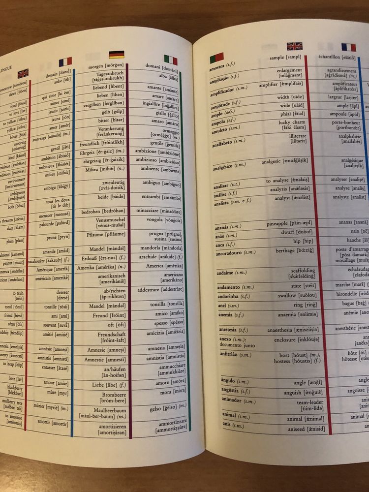 Dicionário multilingue(readers digest)
