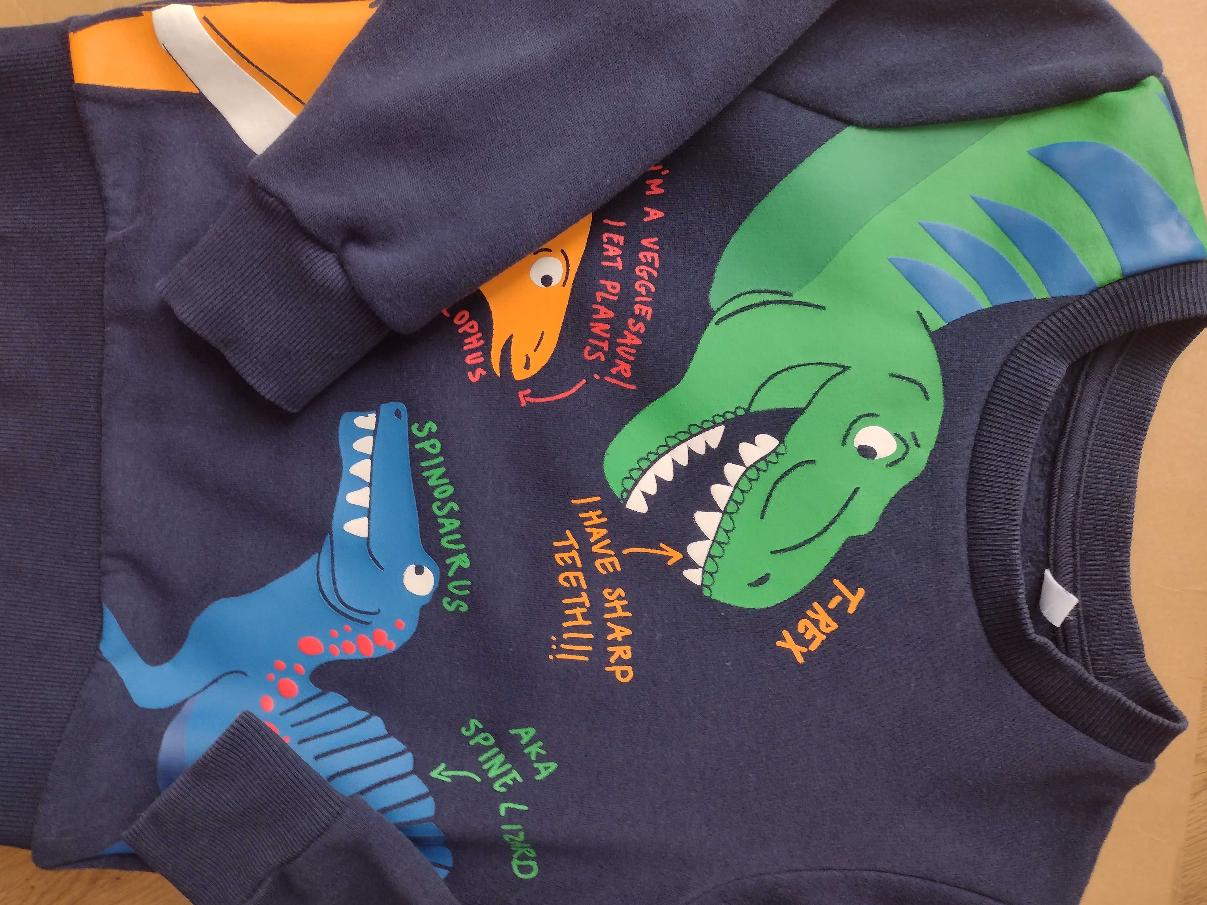 Bluza z dinozaurami rozmiar 110