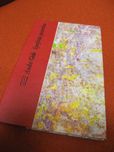 Symfonia pastoralna - Andre Gide