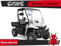 Linhai  Nowy LINHAI UTV E-5S ELECTRIC 2x4 homologacja 2024