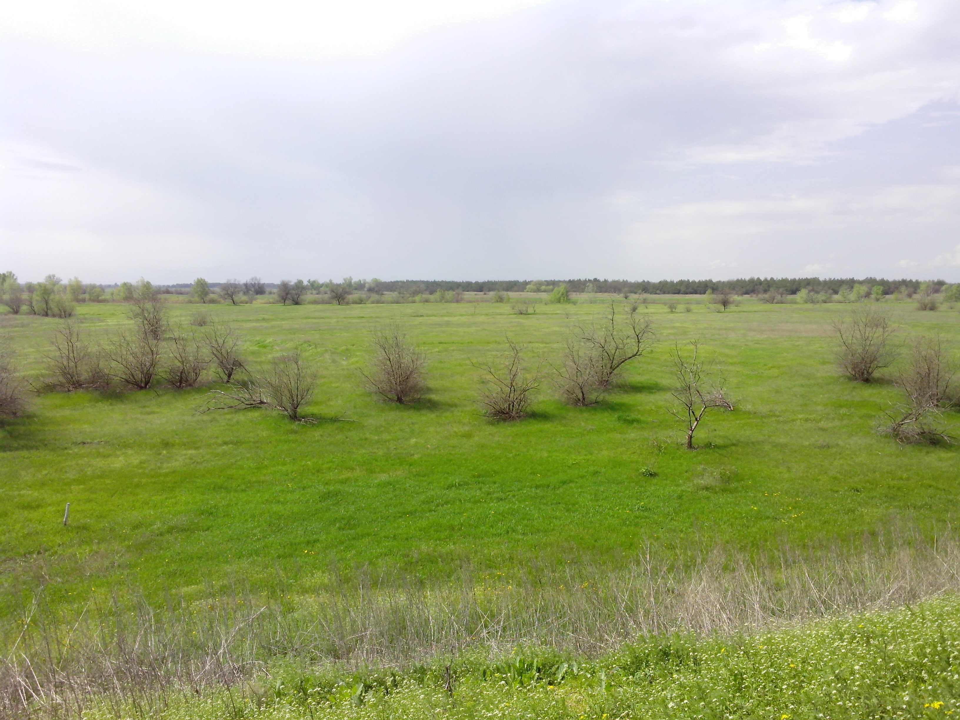 Участкок, Днепропетровская обл, с. Баловка, участок 4Га, Собственник