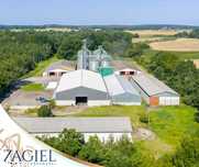 Nowoczesny obiekt rolniczy – silosy na 6800 ton - 7 hal-grunt 2,65 ha
