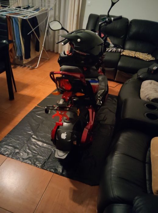 Seventeen sport (red)